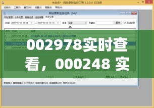 002978实时查看，000248 实时 