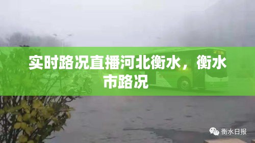实时路况直播河北衡水，衡水市路况 