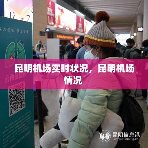 昆明机场实时状况，昆明机场情况 