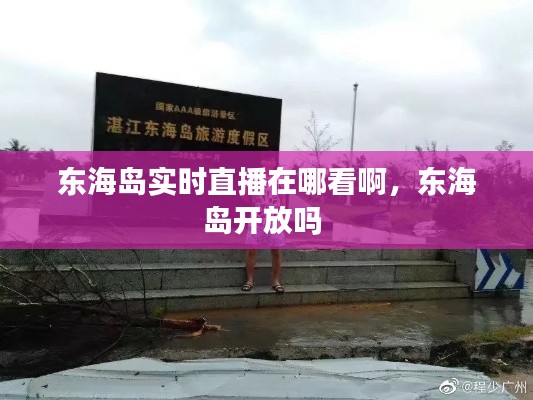 第875页
