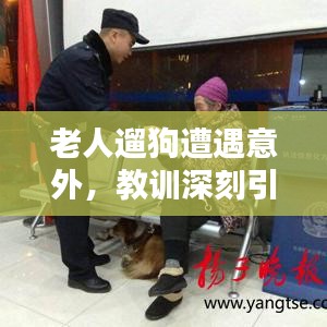 老人遛狗遭遇意外，教训深刻引人警醒