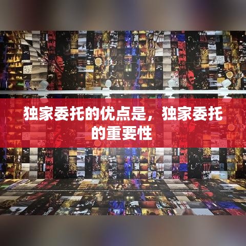 独家委托的优点是，独家委托的重要性 