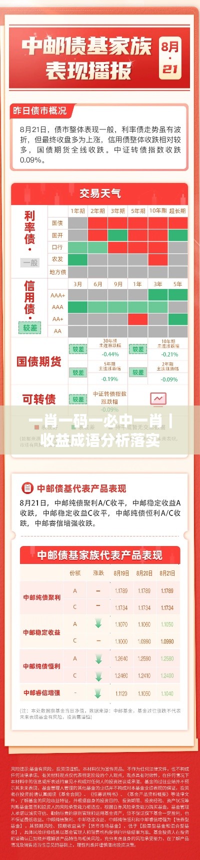 一肖一码一必中一肖｜收益成语分析落实