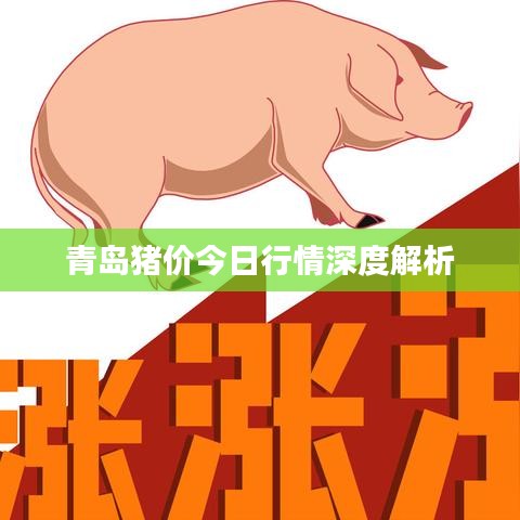 青岛猪价今日行情深度解析