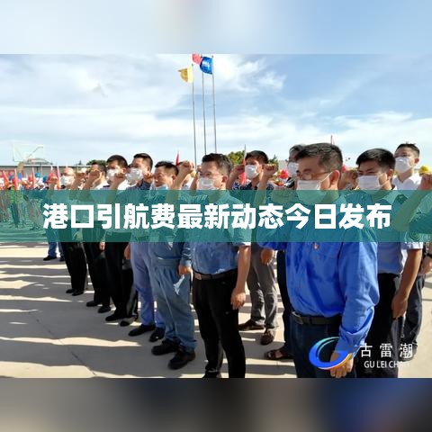 港口引航费最新动态今日发布