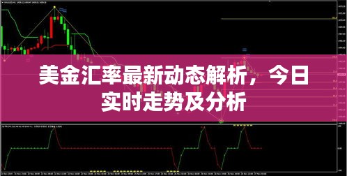 美金汇率最新动态解析，今日实时走势及分析