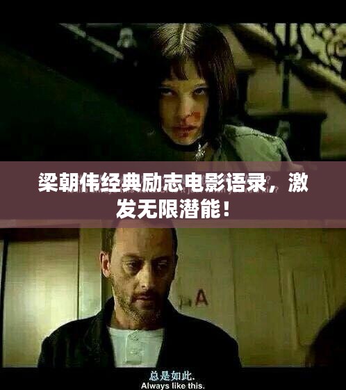 飞扬拨扈