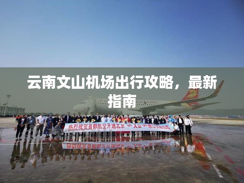 鸟云之阵