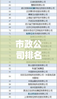 市政公司排名榜揭晓，行业领军者的秘密大揭秘！