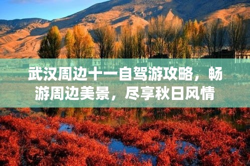2025年5月5日 第2页