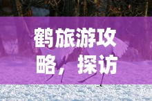 鹤旅游攻略，探访自然之美，领略鹤舞翩翩的魅力