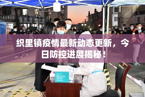 织里镇疫情最新动态更新，今日防控进展揭秘！