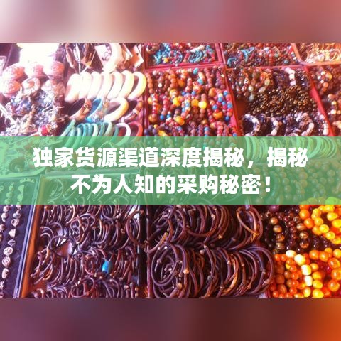 独家货源渠道深度揭秘，揭秘不为人知的采购秘密！