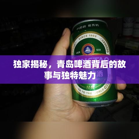 独家揭秘，青岛啤酒背后的故事与独特魅力