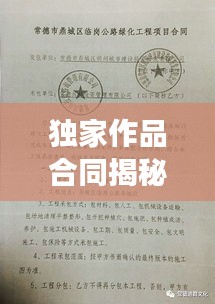 独家作品合同揭秘，出版发行的法律保障与权益保障重磅标题