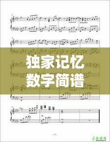 独家记忆数字简谱的世界探索
