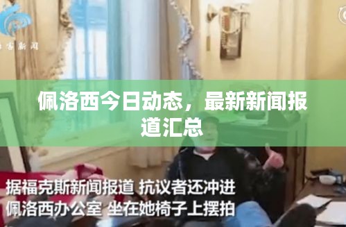 佩洛西今日动态，最新新闻报道汇总