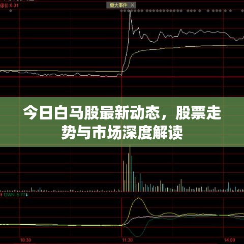 今日白马股最新动态，股票走势与市场深度解读