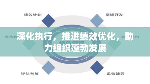 深化执行，推进绩效优化，助力组织蓬勃发展
