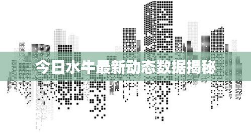 一席之地