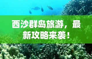 西沙群岛旅游，最新攻略来袭！