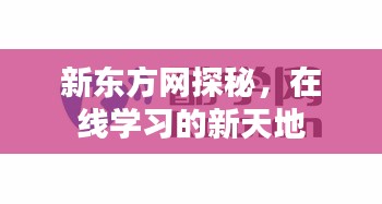 新东方网探秘，在线学习的新天地