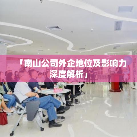 「南山公司外企地位及影响力深度解析」