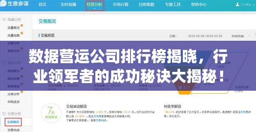 数据营运公司排行榜揭晓，行业领军者的成功秘诀大揭秘！