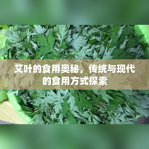 艾叶的食用奥秘，传统与现代的食用方式探索
