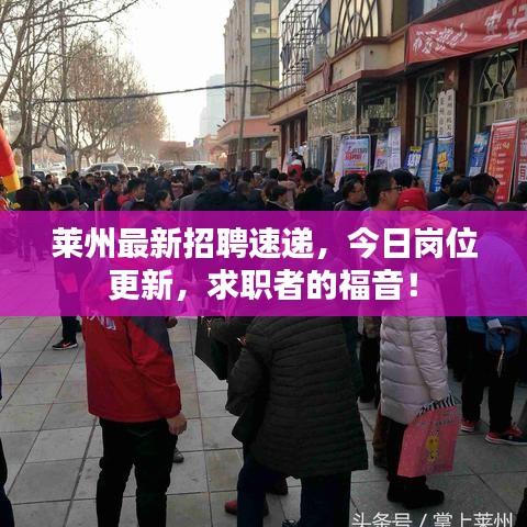 莱州最新招聘速递，今日岗位更新，求职者的福音！