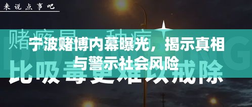 宁波赌博内幕曝光，揭示真相与警示社会风险