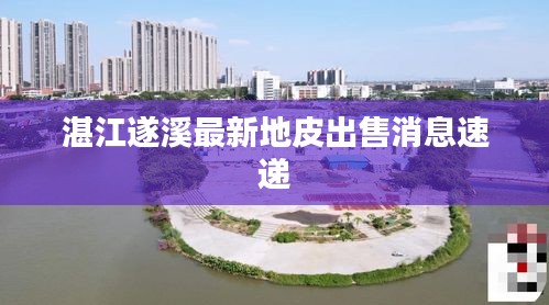 湛江遂溪最新地皮出售消息速递