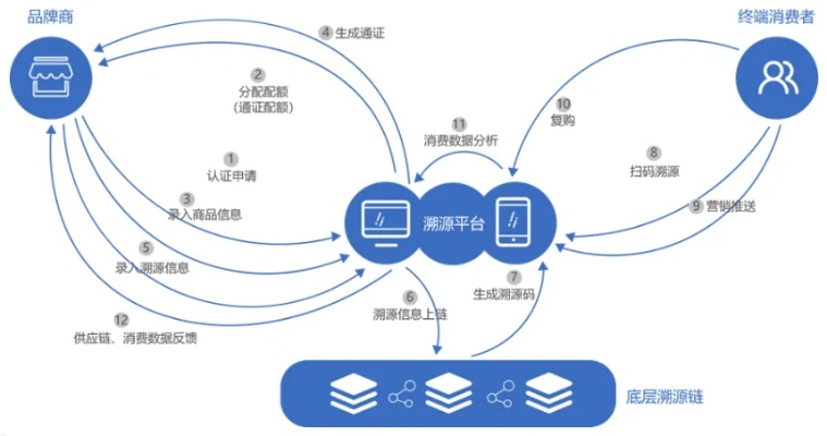 链信商城版本,深层设计数据策略_复刻版_v4.591