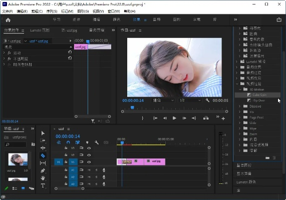 pr哪个版本好用,实地方案验证 免费版_v8.361