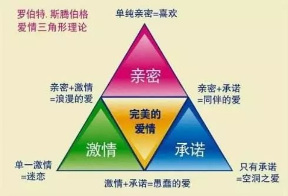 亲密关系 版本,科学数据解释定义-体验版_v10.695