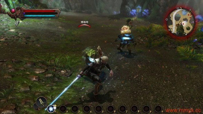 阿玛拉王国版本,前沿解答解释定义-zShop_v4.272