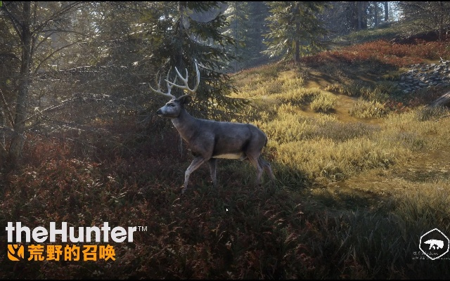 thehunter官方下载,权威分析解释定义|R版_v8.784