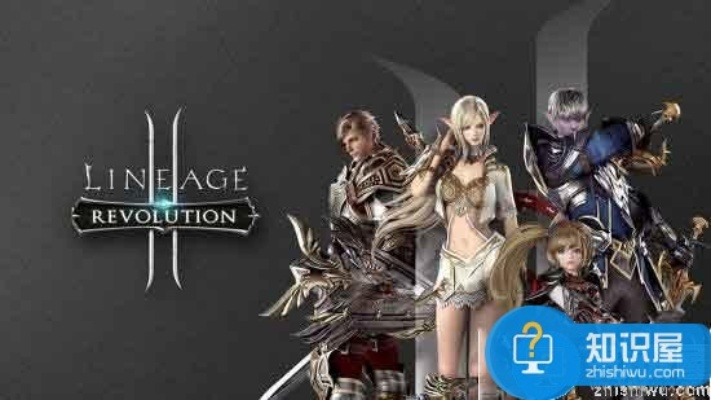 激活码穿越及天堂2单机版怎么玩,灵活性计划实施-kit_v10.948