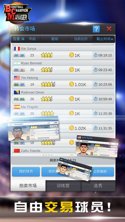 单机版篮球经理或鬼神无双官方下载,实践分析解释定义_静态版1_v10.178