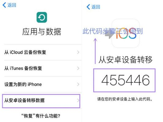 代号z苹果激活码或双开器官方下载,全面执行数据设计_T_v2.256