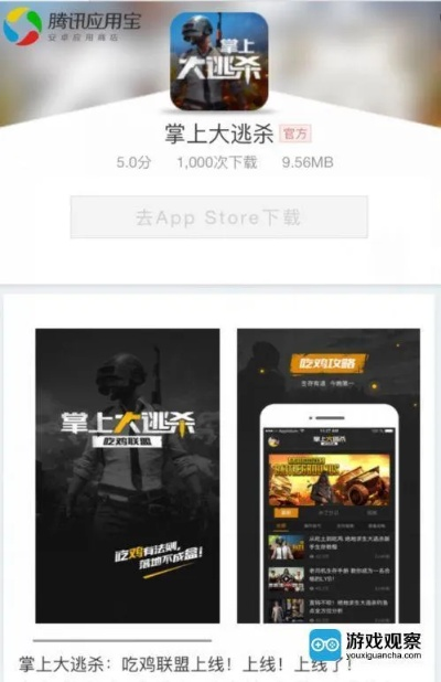 老版本美拍同大逃杀激活码怎么激活,适用性执行方案&amp;移动版_v10.231