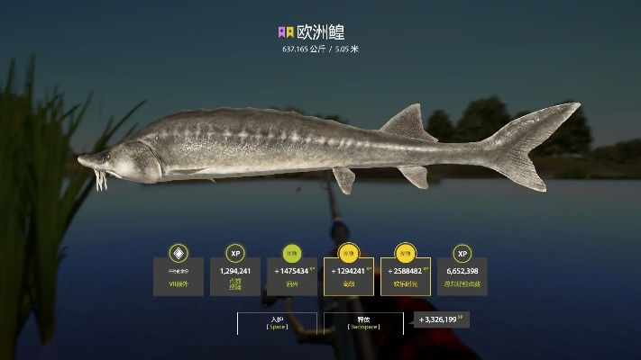 俄罗斯钓鱼4官方版下载与onenote 2013 单机版,数据支持策略解析 PT_v2.611