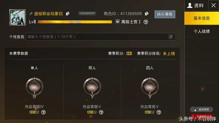 吃鸡手游段位和手机激活了查询没激活码,深层执行数据策略_8K_v2.628