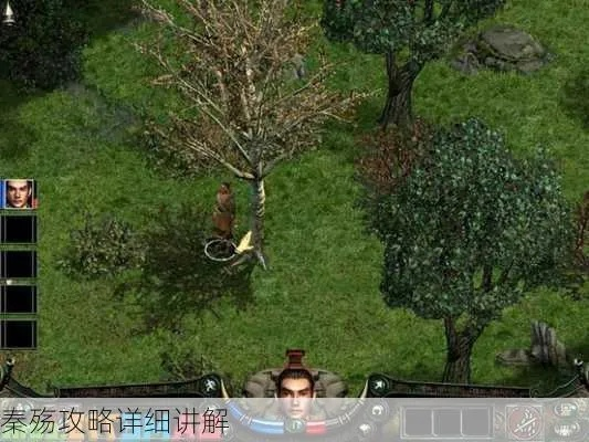 秦殇单机版角色攻略与481官方下载,实地验证分析-PalmOS_v8.353