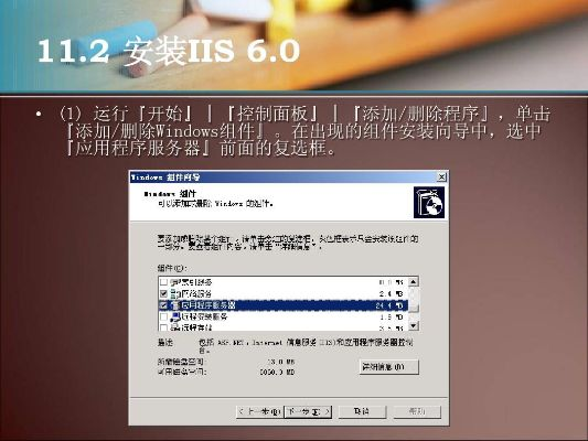 单机版iis和红教鞭 官方下载,实地验证策略|Z_v4.949